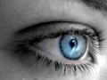 blue_eye.jpg
