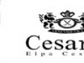 cesarslogo1.jpg