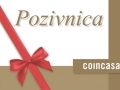 coincasa1_1.jpg