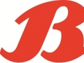 bata667.jpg